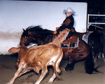 Belles Peppy Boy - champion cutting horse